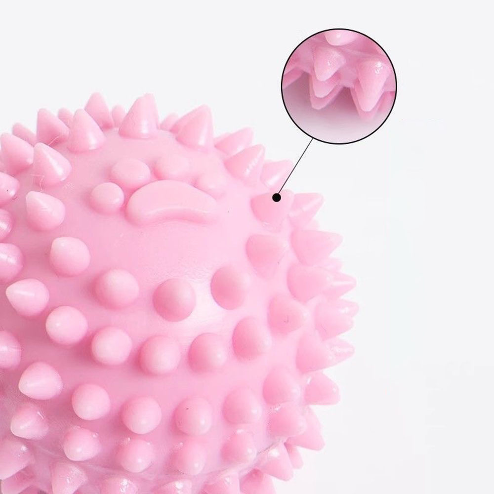 Dog Chew Toy Footprint Spiked  - Spike Ball Game incelemesi ve fiyatı