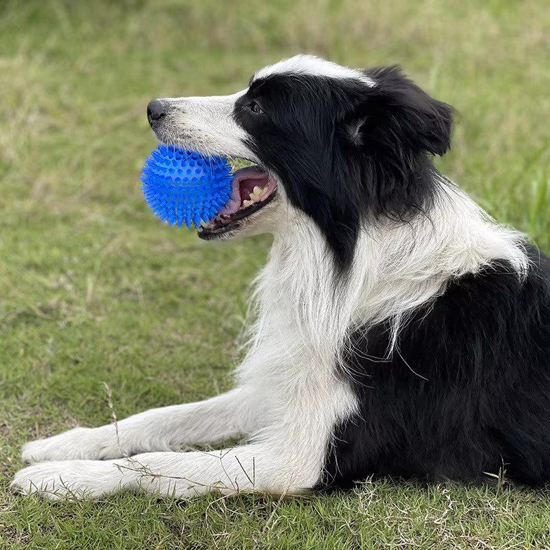 TPR Squeaky Spiked Dog Ball Ch - Spike Ball Game incelemesi ve fiyatı