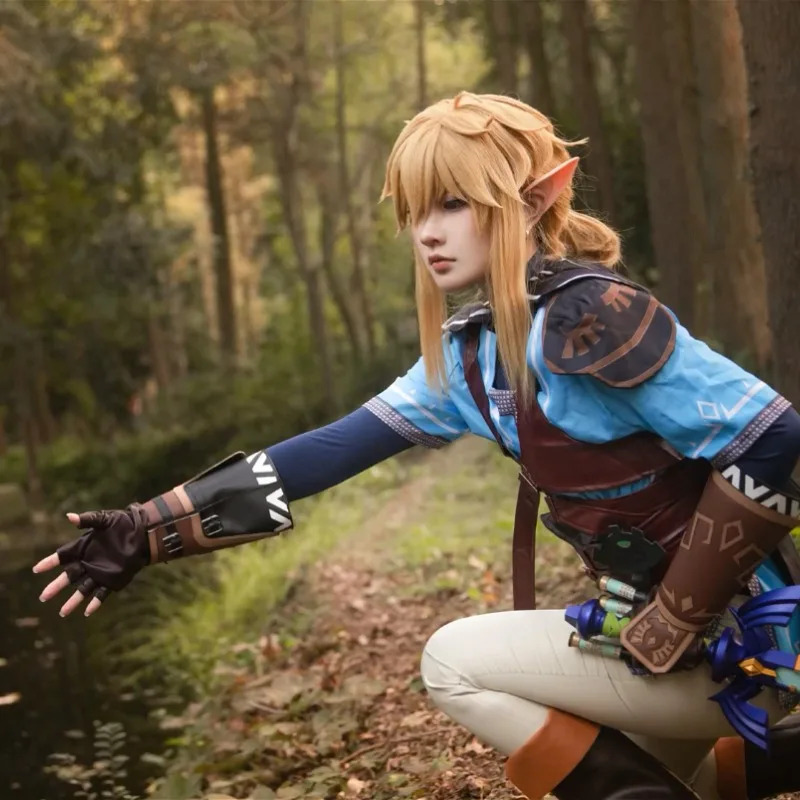 Game Zelda Breath of The Wild  - Zelda Party Games incelemesi ve fiyatı